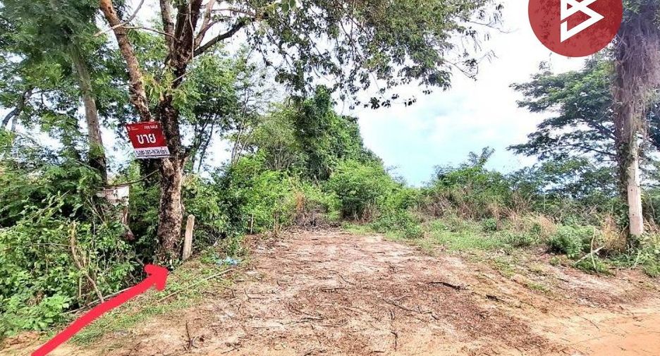 For sale land in Phon Thong, Roi Et