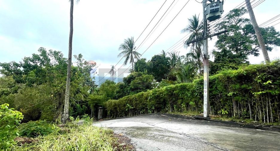 For sale land in Ko Samui, Surat Thani