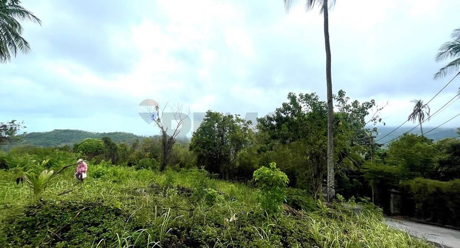 For sale land in Ko Samui, Surat Thani
