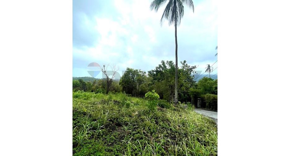 For sale land in Ko Samui, Surat Thani