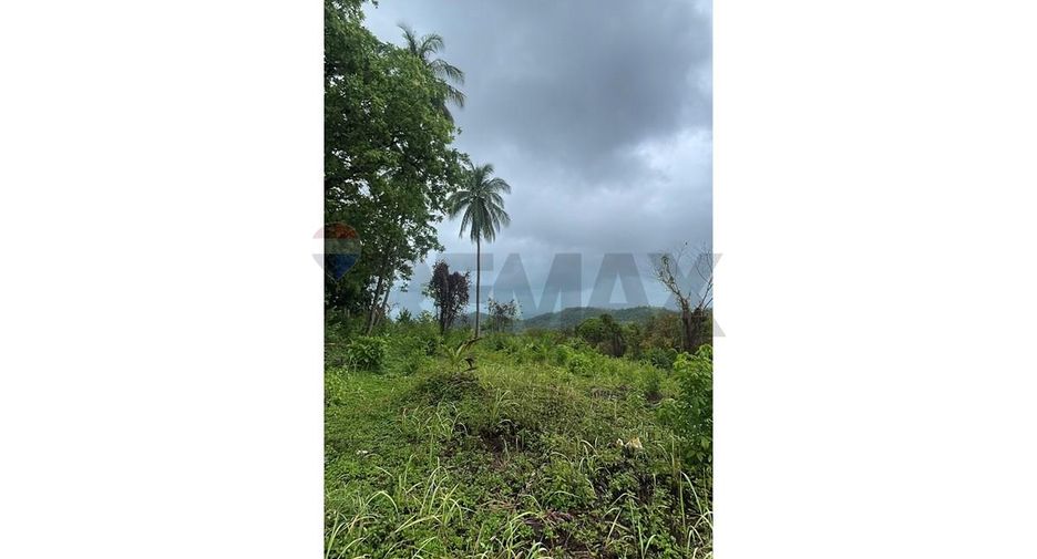 For sale land in Ko Samui, Surat Thani
