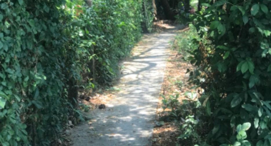 Grundstück zum Kauf in Mueang Nonthaburi, Nonthaburi