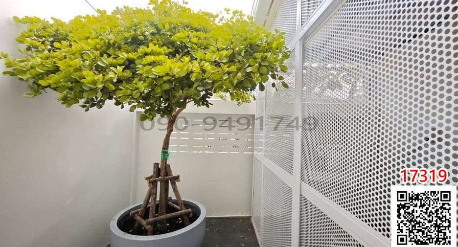 For rent 3 bedrooms townhouse in Lat Phrao, Bangkok