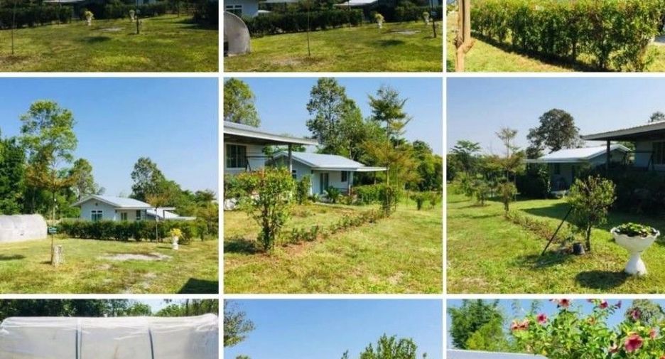For sale land in Dan Sai, Loei