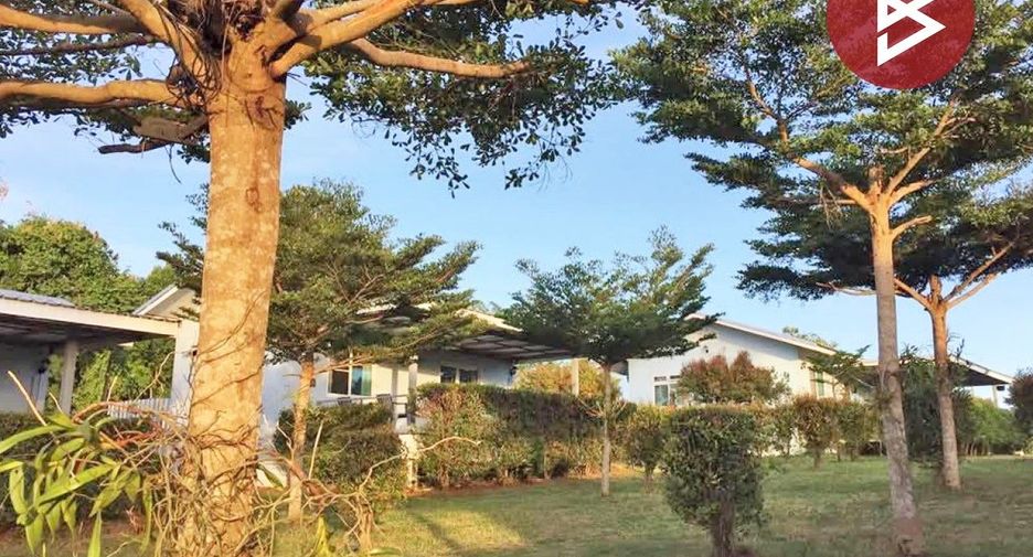 For sale land in Dan Sai, Loei