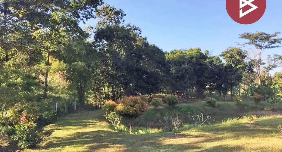 For sale land in Dan Sai, Loei