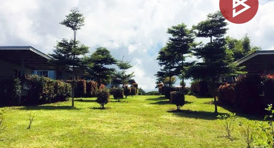 For sale land in Dan Sai, Loei