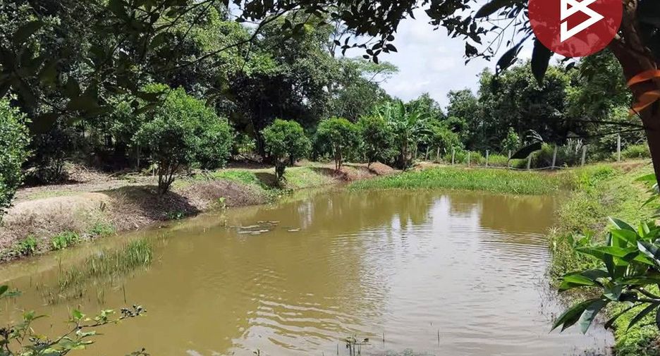 For sale land in Dan Sai, Loei