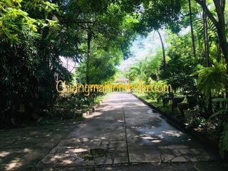 Haus zur Miete mit 5 Zimmer in Mueang Chiang Mai, Chiang Mai