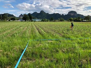 Terreno en venta en Khao Yoi, Phetchaburi