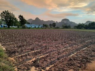 Terreno en venta en Khao Yoi, Phetchaburi