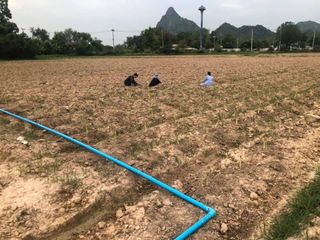 Terreno en venta en Khao Yoi, Phetchaburi