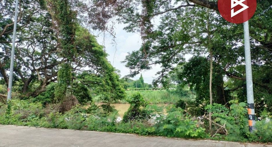 For sale land in Wang Thong, Phitsanulok