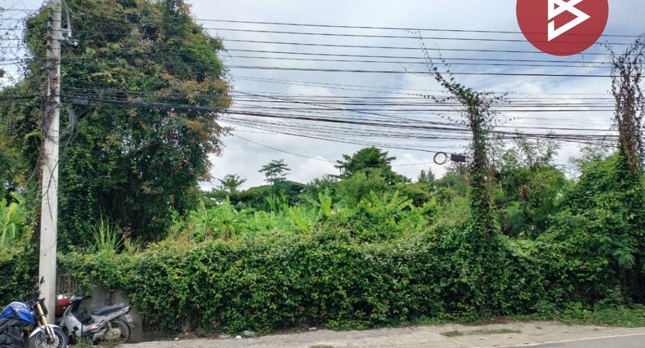 For sale land in Wang Thong, Phitsanulok
