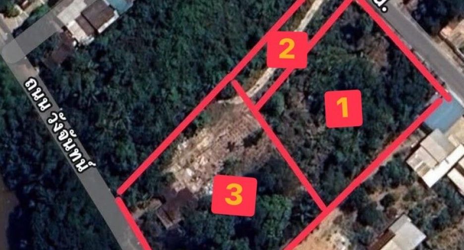 For sale land in Wang Thong, Phitsanulok
