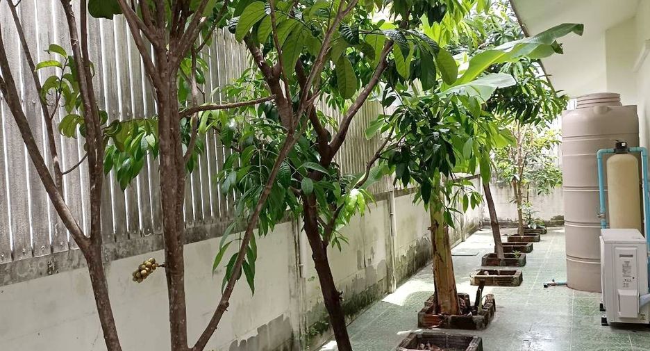 For rent 3 ベッドルーム house in Mueang Chiang Mai, Chiang Mai
