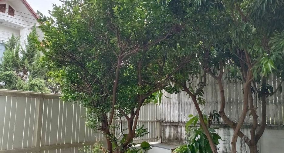 For rent 3 ベッドルーム house in Mueang Chiang Mai, Chiang Mai