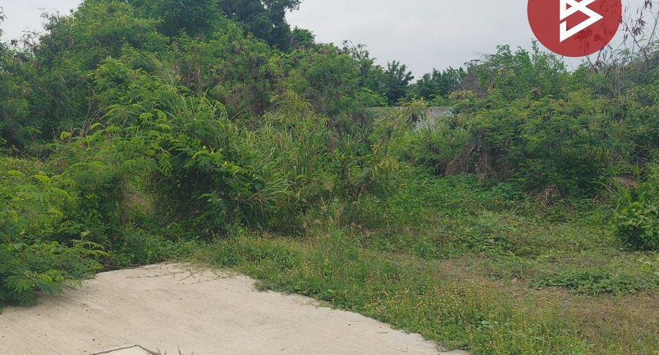 For sale land in Plaeng Yao, Chachoengsao