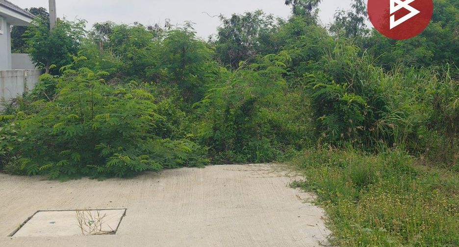 For sale land in Plaeng Yao, Chachoengsao