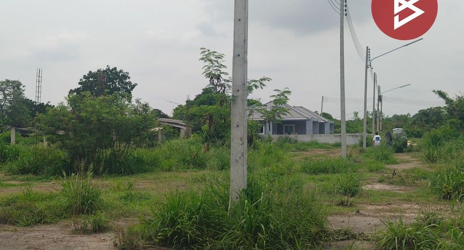 For sale land in Plaeng Yao, Chachoengsao