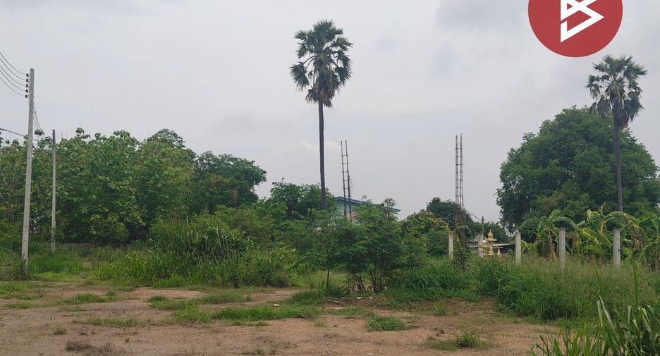 For sale land in Plaeng Yao, Chachoengsao