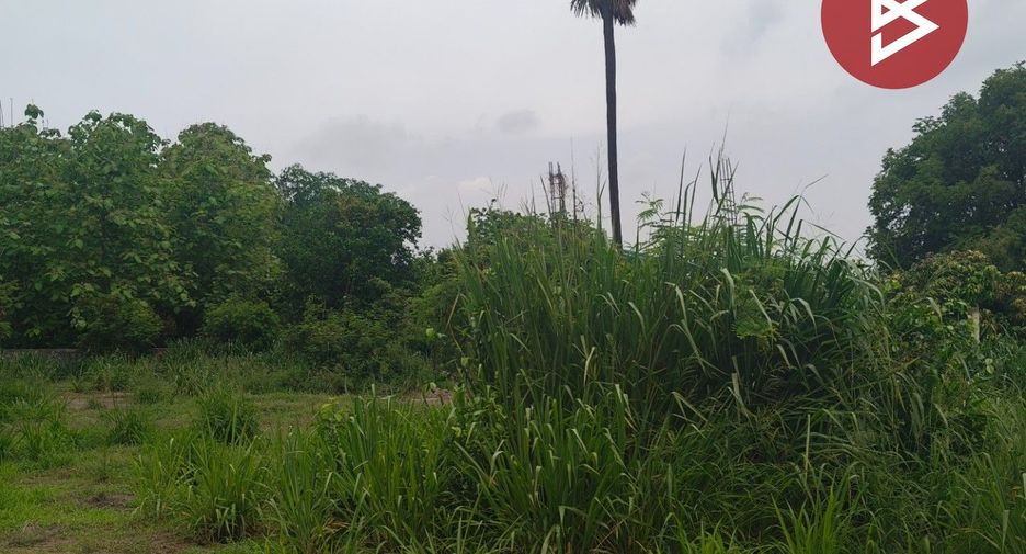 For sale land in Plaeng Yao, Chachoengsao