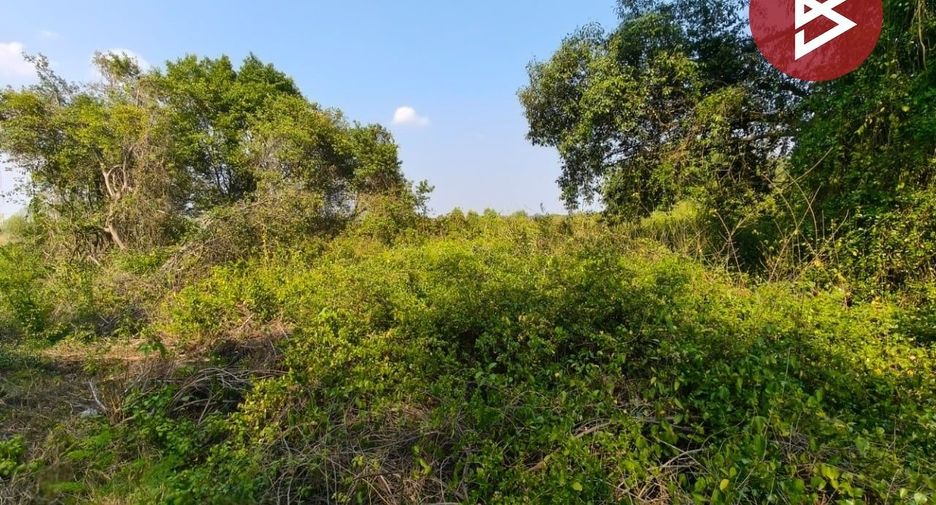 出售 土地 在 Bang Pakong, Chachoengsao