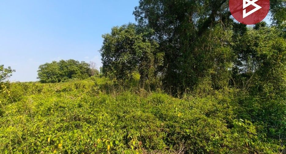 出售 土地 在 Bang Pakong, Chachoengsao