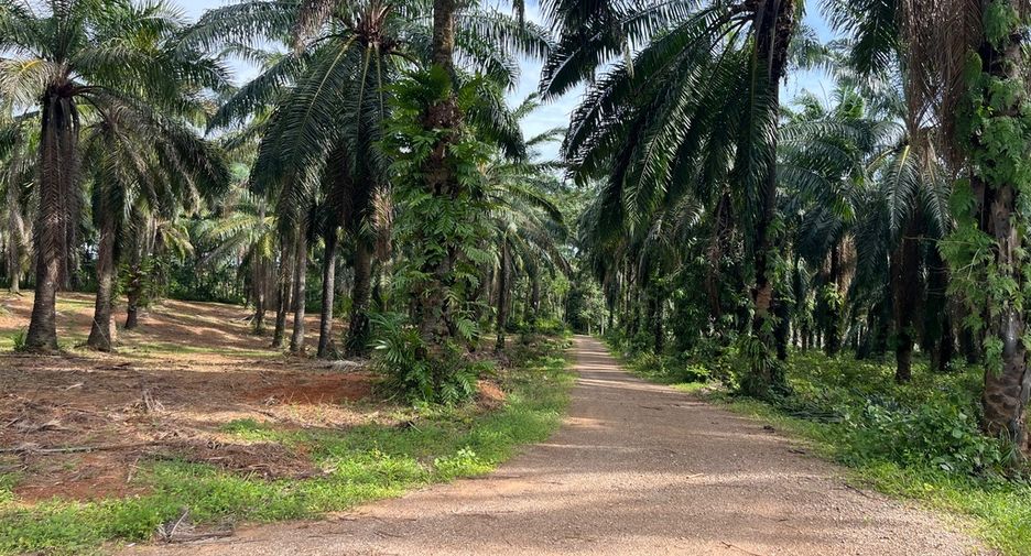 Grundstück zum Kauf in Mueang Krabi, Krabi