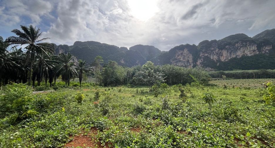 Grundstück zum Kauf in Mueang Krabi, Krabi