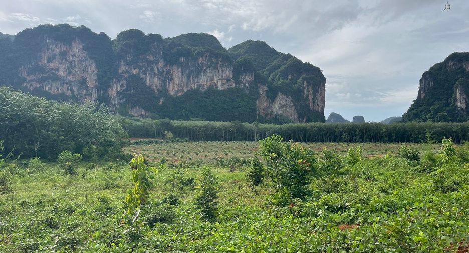 Grundstück zum Kauf in Mueang Krabi, Krabi