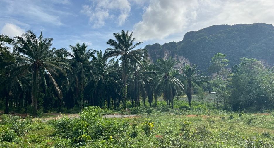Grundstück zum Kauf in Mueang Krabi, Krabi