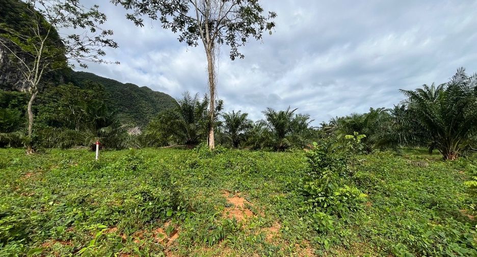 Grundstück zum Kauf in Mueang Krabi, Krabi