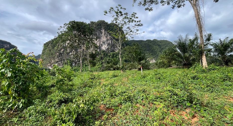 Grundstück zum Kauf in Mueang Krabi, Krabi