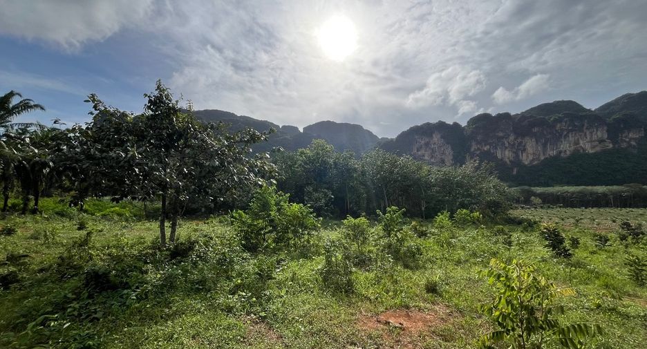 Grundstück zum Kauf in Mueang Krabi, Krabi