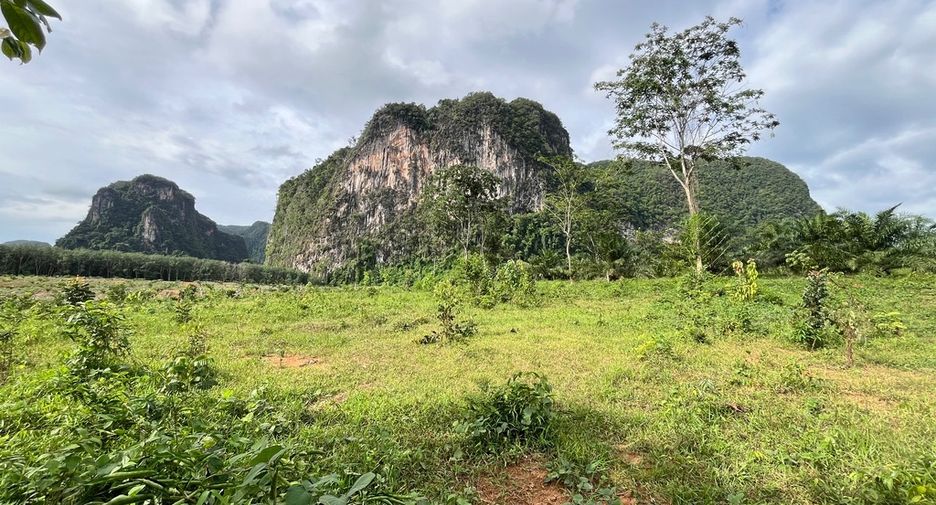 Grundstück zum Kauf in Mueang Krabi, Krabi