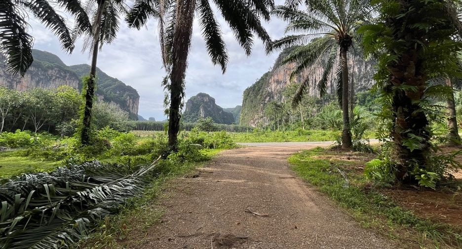 Grundstück zum Kauf in Mueang Krabi, Krabi