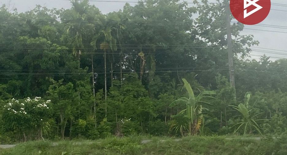 For sale land in Khon San, Chaiyaphum