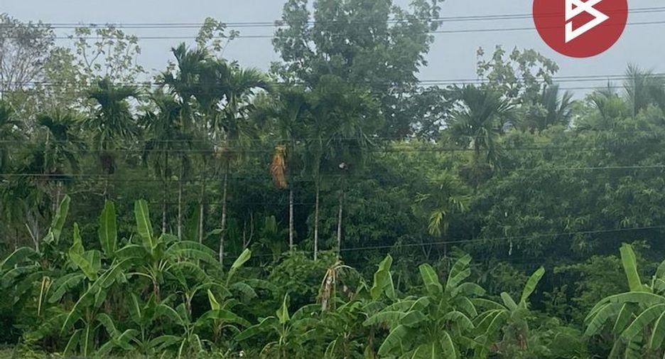For sale land in Khon San, Chaiyaphum