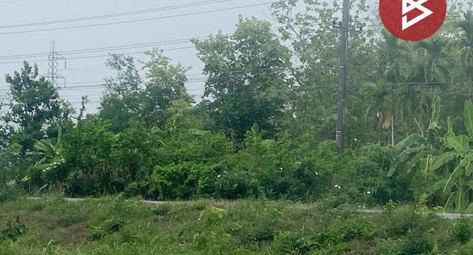 For sale land in Khon San, Chaiyaphum