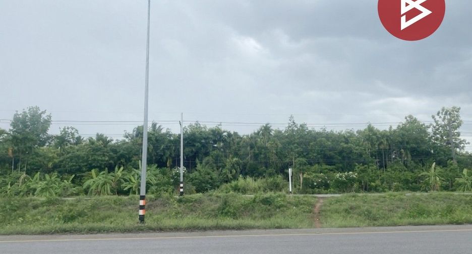 For sale land in Khon San, Chaiyaphum