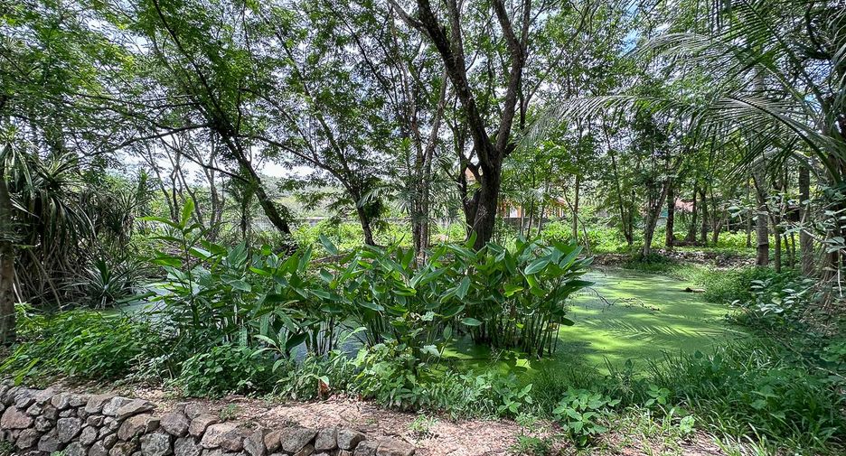 Local comercial en venta en San Kamphaeng, Chiang Mai