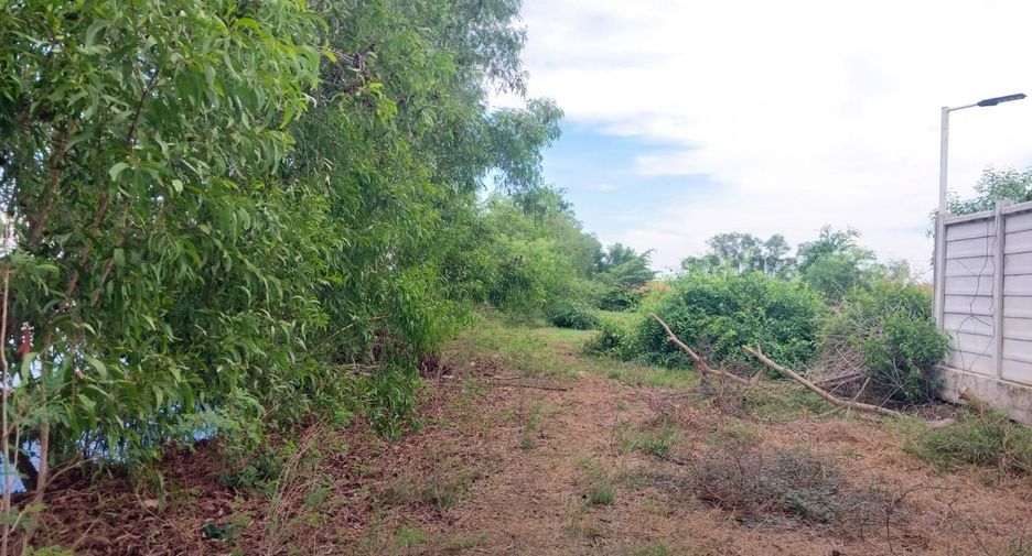出售 土地 在 Phutthamonthon, Nakhon Pathom