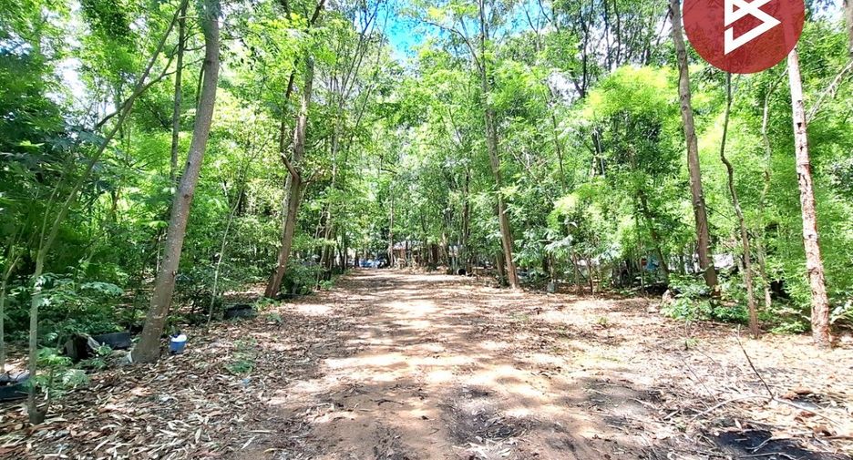 For sale land in Chiang Khwan, Roi Et