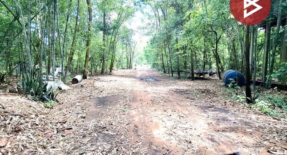 For sale land in Chiang Khwan, Roi Et