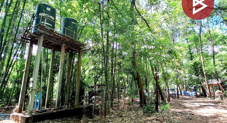 For sale land in Chiang Khwan, Roi Et