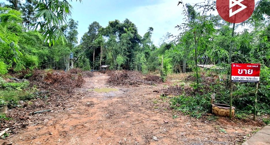 For sale land in Chiang Khwan, Roi Et