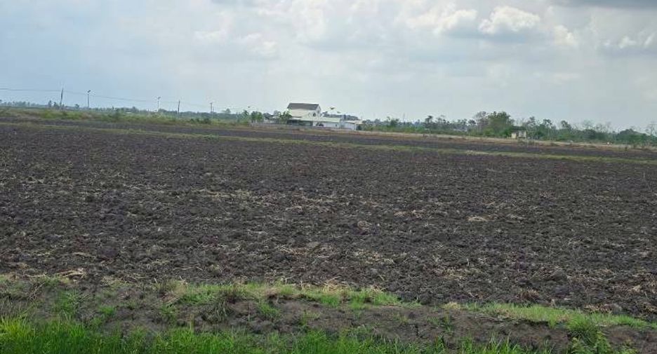 À vendre terrain à Mueang Nakhon Nayok, Nakhon Nayok