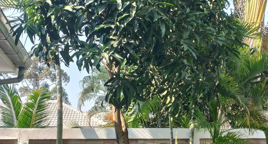 For sale 3 bedrooms villa in Huay Yai, Pattaya
