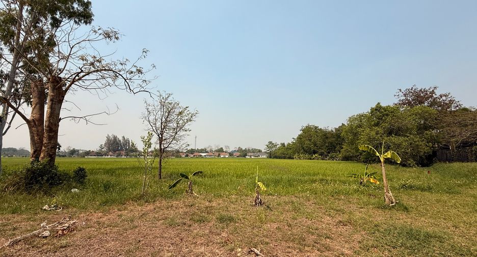 出售 土地 在 Doi Saket, Chiang Mai
